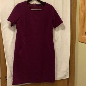 Lands End Plum Dress size 14